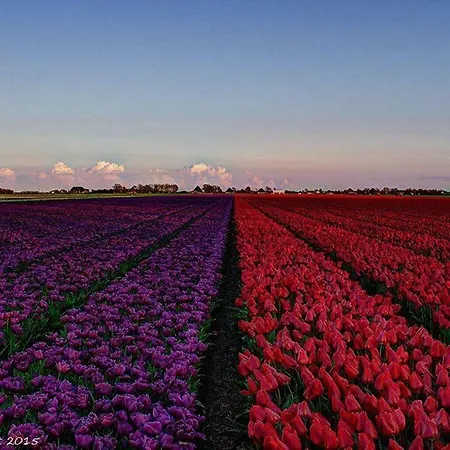 Apartment Strandslag 207 Aan Zee